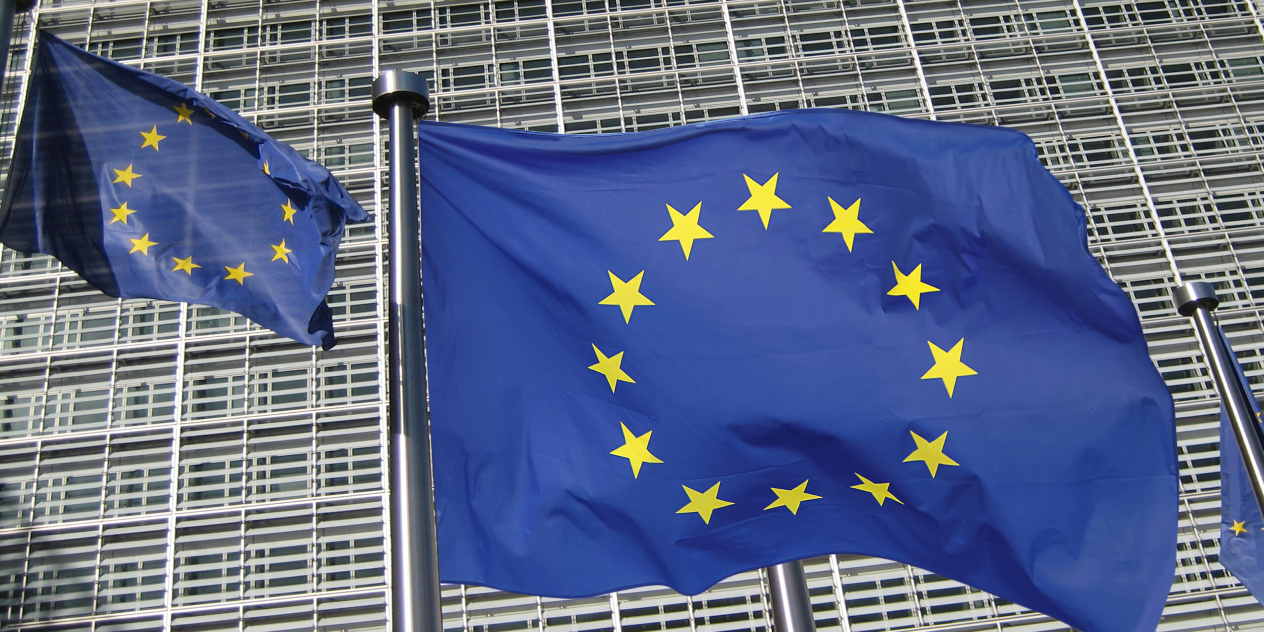 European_Flag _Berlaymont_800*400